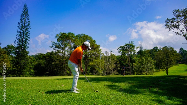 Fototapeta Golfer playing golf in the evening golf course, on sun set evening time.
