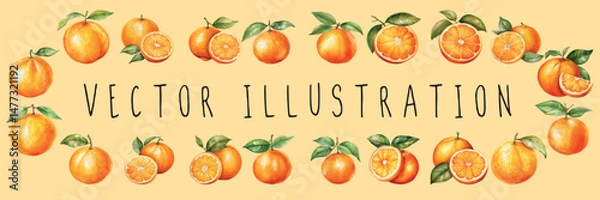 Obraz orange fruit watercolor set collection illustration . vector illustration