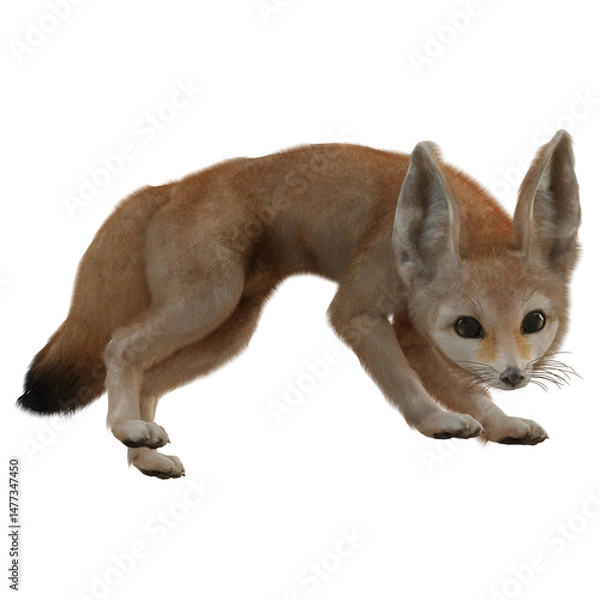 Obraz 3D rendered fantasy desert fox isolated on transparent background