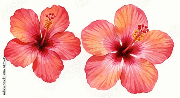 Fototapeta Watercolor Painting Showing A Variety Of Hibiscus Flowers And Petals In Shades Of Pink And Red Scattered And Arranged On A Bright White Background Depicting Delicacy And Natural Beauty