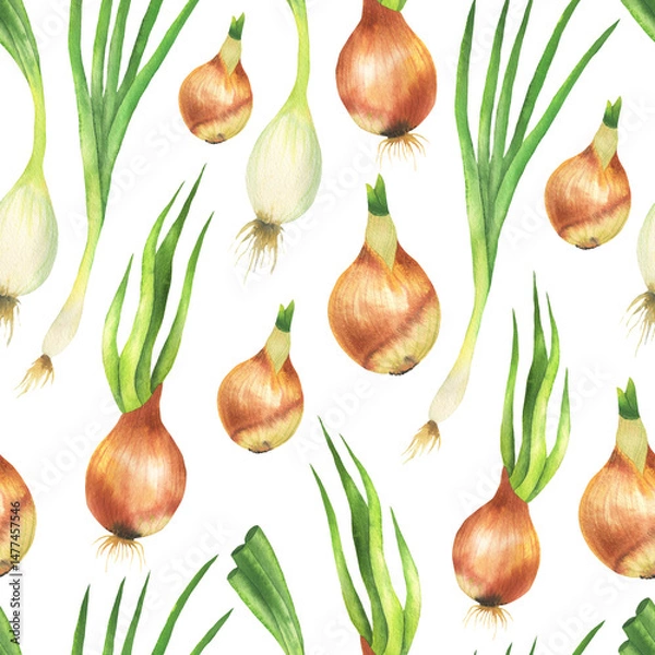 Fototapeta Pattern Onion