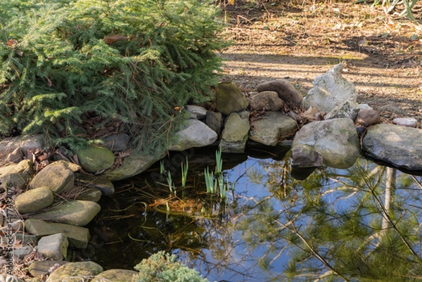 Fototapeta Serene pond surrounded by lush greenery and stones, reflecting sky and nearby trees, creating tranquil natural scene.
