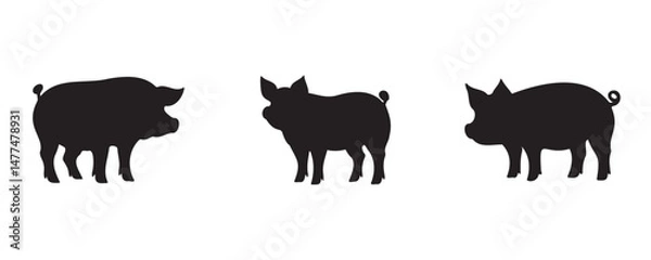 Fototapeta Set of three pig silhouettes in different poses, isolated on white background. Simple black vector illustrations representing pigs in profile view
