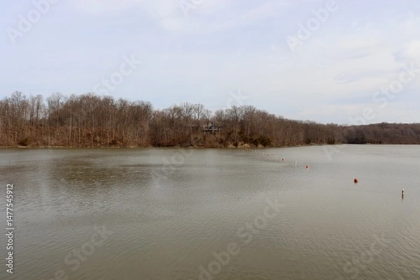 Obraz The peaceful lake in the country on a cloudy winter day.