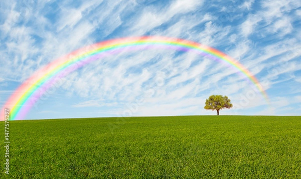 Obraz Beautiful landscape with green grass field and lone tree in the background amazing rainbow