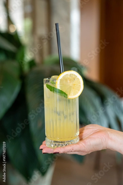 Fototapeta Close up view of a waitress serving a glass of lemonade with ice, a lemon slice, fresh mint, and a straw in hand.