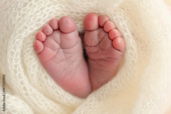 Fototapeta Soft feet of a newborn in a white woolen blanket. Close up of toes, heels and feet of a newborn baby