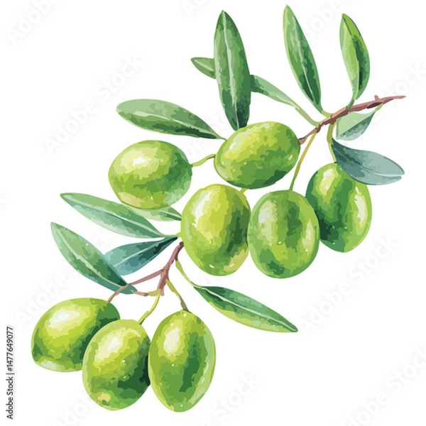Obraz green olives with leaves