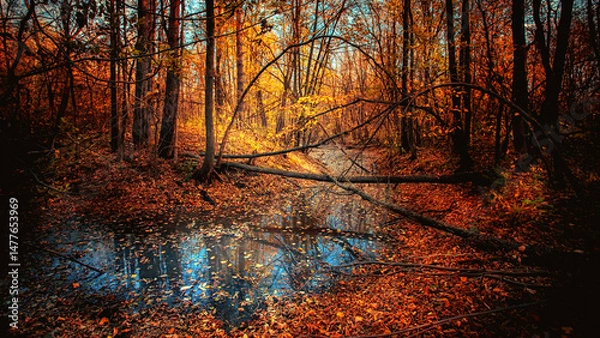Obraz Pond on an autumn evening. Autumn landscape. Background for relax.