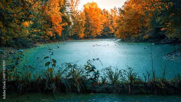 Obraz Pond on an autumn evening. Autumn landscape. Background for relax.