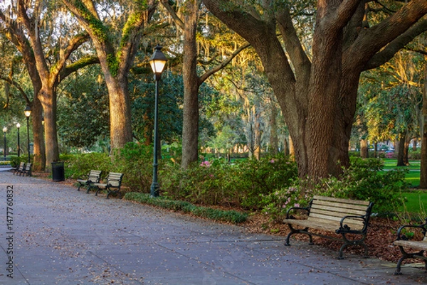 Obraz Walkway with benches and streetlights in Forsyth Park Savannah Georgia on a spring morning