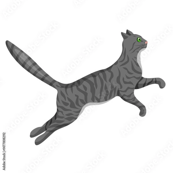 Obraz A grey tabby cat jumps, isolated on a white background.Vector illustration of a pet.