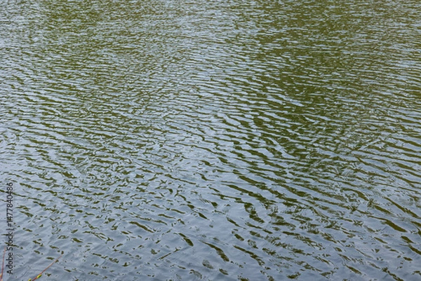 Fototapeta Ripples on the surface of a lake