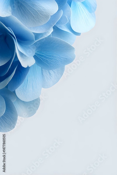 Obraz Photo blank with fresh blue flower background. Greeting or invitation template with copy space.