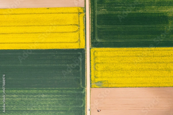 Obraz Aerial View of Colorful Farmland Patterns