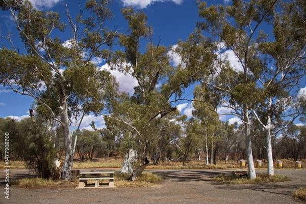 Obraz Designated rest area at Beasley River, Western Australia, Australia
