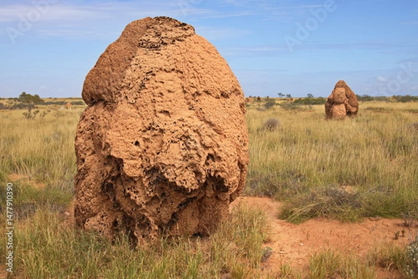 Obraz Termite mounds in Western Australia, Australia
