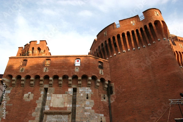 Fototapeta le castillet