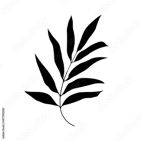 Fototapeta Bold Leaf Silhouette Drawing. Stylized black silhouette of a botanical leaf drawn in a strong, graphic style.