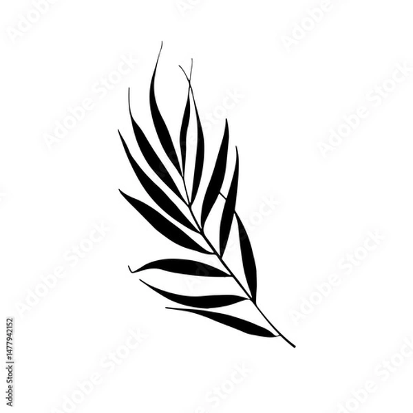 Fototapeta Bold Leaf Silhouette Drawing. Stylized black silhouette of a botanical leaf drawn in a strong, graphic style.