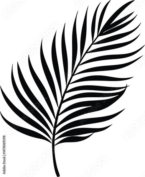 Obraz a palm tree leaf silhouette vector 