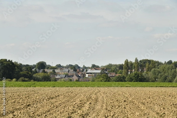 Fototapeta Champs de pommes de terre après semence à Écaussinnes-Lalaing