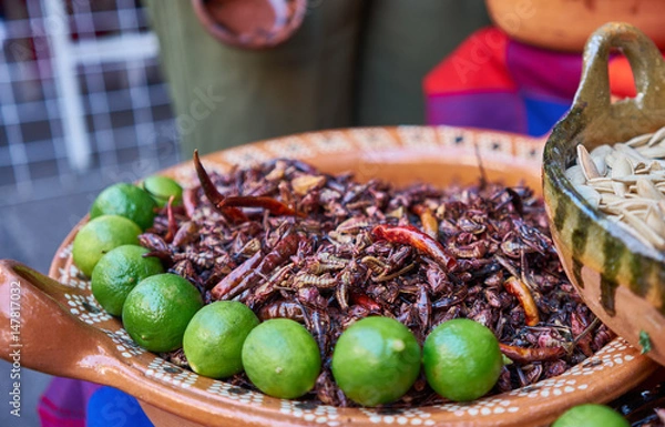 Obraz Eatable grasshoppers with lime, chapulin mexican food