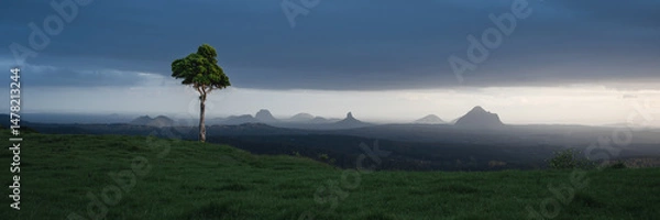 Obraz Solitary tree under stormy sky with Glass House Mountains in the background, Queensland, Australia