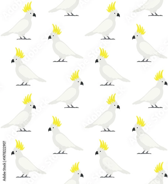 Fototapeta Vector seamless pattern of flat hand drawn cockatoo parrot isolated on white background