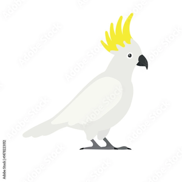 Fototapeta Vector flat hand drawn cockatoo parrot isolated on white background
