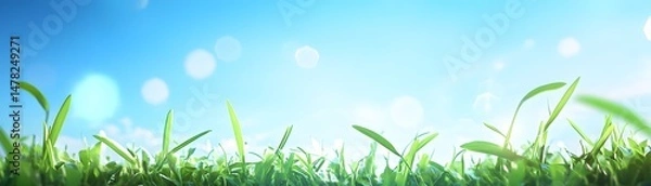 Obraz Fresh green grass reaching for a bright, clear sky.