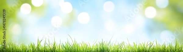 Obraz Fresh green grass against a bright spring backdrop