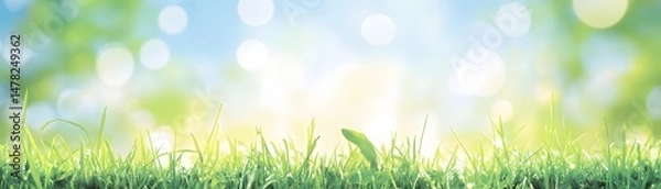 Obraz Fresh, vibrant green grass under a soft, natural light.