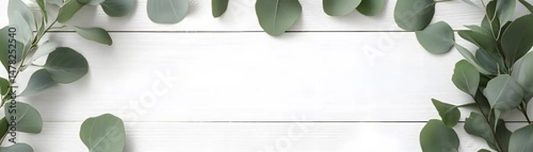 Fototapeta Delicate eucalyptus sprigs frame a plain white surface.