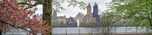 Fototapeta Central Park in spring