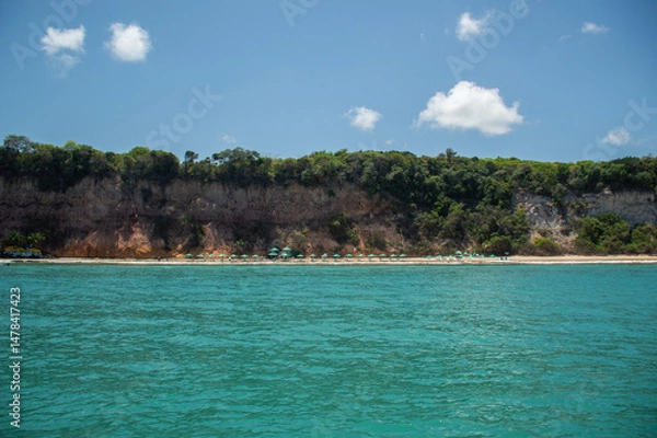 Obraz Tropical paradise with turquoise ocean and forest cliffs in Brazil. Baía dos Golfinhos, Pipa, Brazil.