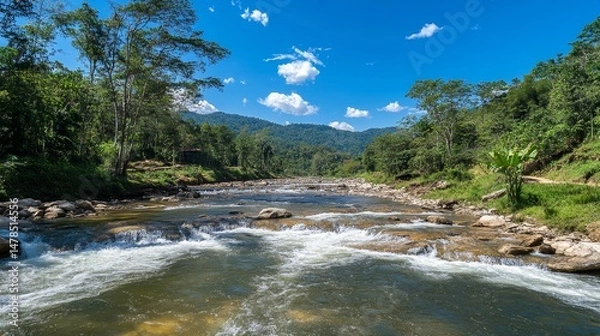Obraz Serene River Flowing Through Lush Green Jungle Under Clear Blue Sky