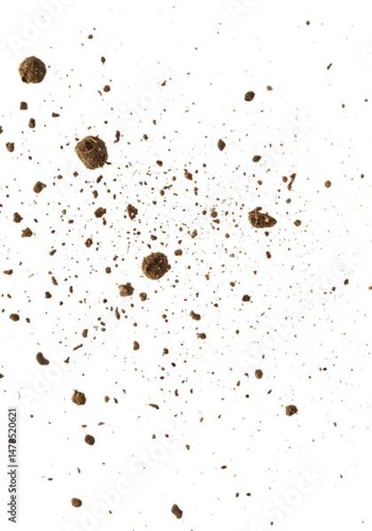 Obraz Brown Mud Spattering