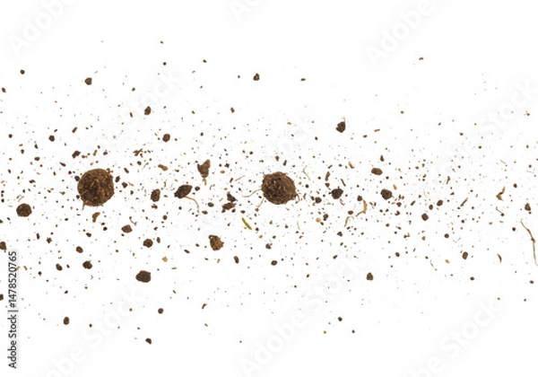 Obraz Close-up of Soil and Water Mixture Exploding