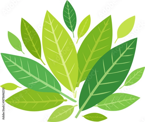 Obraz Green tropical leaves. Palm tree foliage, monstera and dieffenbachia. Realistic 2D vector set of exotic jungle plants, botanical elements