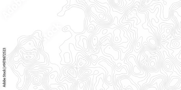 Fototapeta Abstract curve grid map and topo contour map white background. Topographic contour lines. Seamless pattern with lines Topographic map.	
