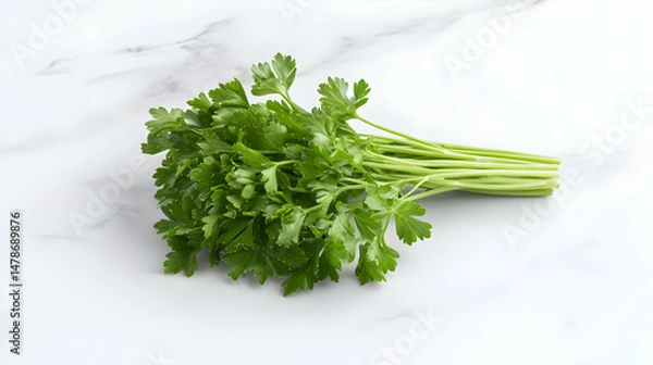 Obraz Fresh Parsley Bunch On Marble Surface