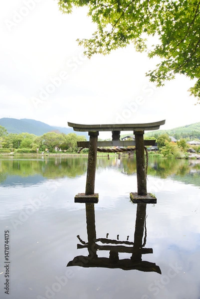 Fototapeta 初夏の大分県・湯布院の金鱗湖と鳥居
