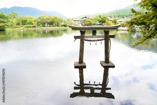 Fototapeta 初夏の大分県・湯布院の金鱗湖と鳥居
