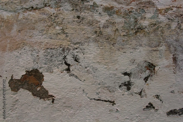 Fototapeta Pared con humedad