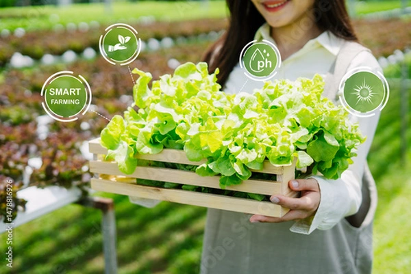 Obraz Young Woman Holding Fresh Lettuce in Smart Farming Setup