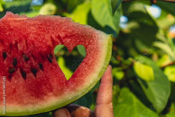 Fototapeta Fresh juicy red watermelon heart shaped slice in hands on background of outdoor garden in summertime during sunset. Concept of love happiness summer holidays and vacation. Slow-living simple pleasures
