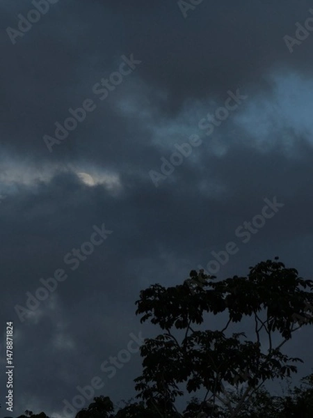 Fototapeta Storm clouds and trees over the forest