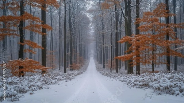 Fototapeta Snowy path through winter forest orange leaves