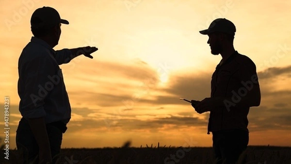 Obraz Male farmers work in team in wheat field. Business people work together. Businessmen are discussing concept of developing their business outdoors, sun. Teamwork in business. Silhouette of farmers, sky